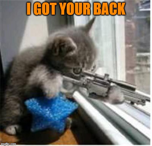 cats with guns | I GOT YOUR BACK | image tagged in cats with guns | made w/ Imgflip meme maker