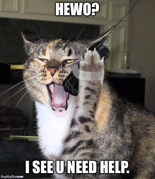 Cat on the Phone | HEWO? I SEE U NEED HELP. | image tagged in cat on the phone | made w/ Imgflip meme maker