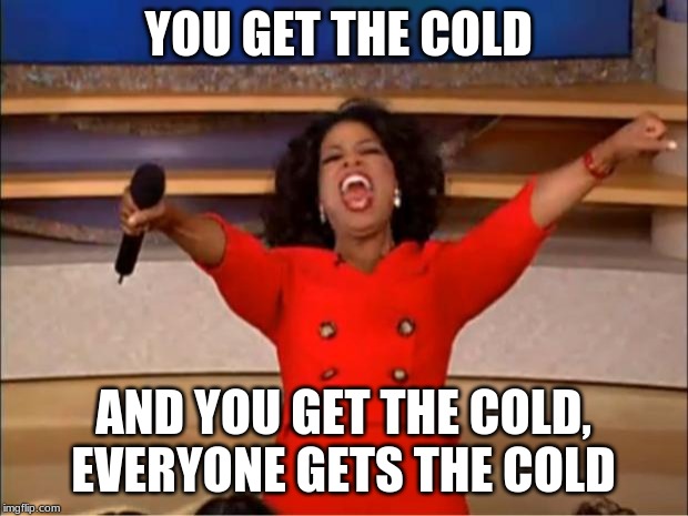 Oprah You Get A | YOU GET THE COLD; AND YOU GET THE COLD, EVERYONE GETS THE COLD | image tagged in memes,oprah you get a | made w/ Imgflip meme maker