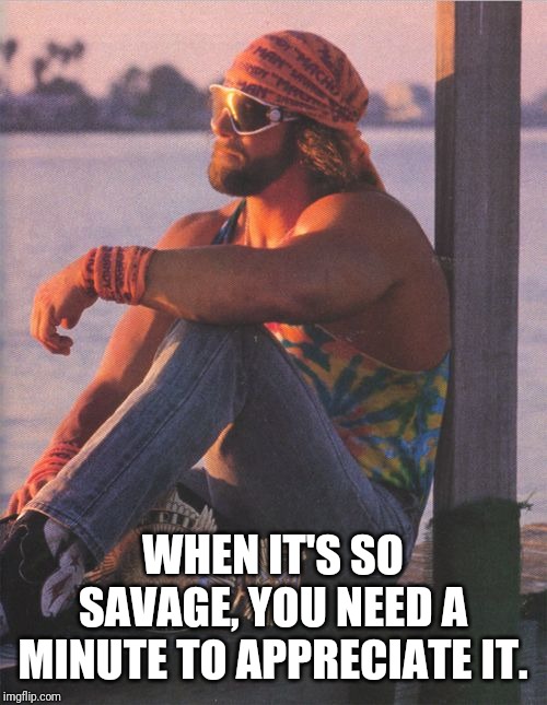 Randy Savage | WHEN IT'S SO SAVAGE, YOU NEED A MINUTE TO APPRECIATE IT. | image tagged in randy savage | made w/ Imgflip meme maker