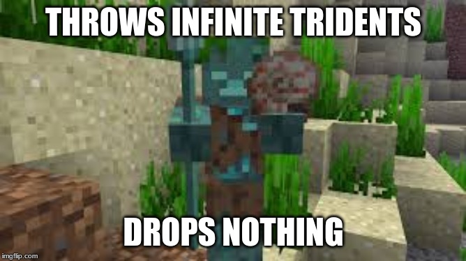 THROWS INFINITE TRIDENTS; DROPS NOTHING | image tagged in minecraft | made w/ Imgflip meme maker