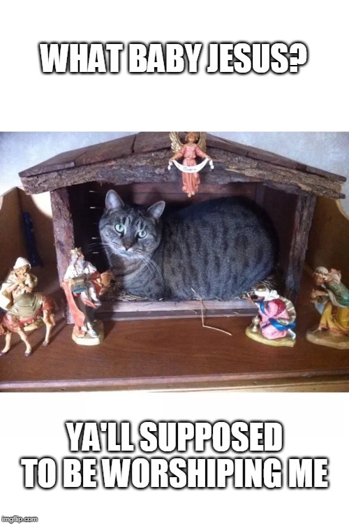 CAT LOGIC | WHAT BABY JESUS? YA'LL SUPPOSED TO BE WORSHIPING ME | image tagged in cats,christmas,nativity | made w/ Imgflip meme maker