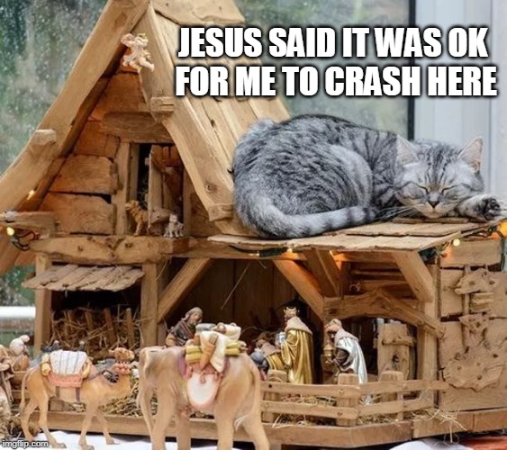 JESUS SAID IT WAS OK
 FOR ME TO CRASH HERE | image tagged in cats,christmas,nativity | made w/ Imgflip meme maker