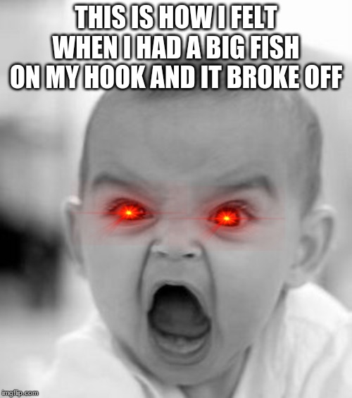 Angry Baby Meme | THIS IS HOW I FELT WHEN I HAD A BIG FISH ON MY HOOK AND IT BROKE OFF | image tagged in memes,angry baby | made w/ Imgflip meme maker
