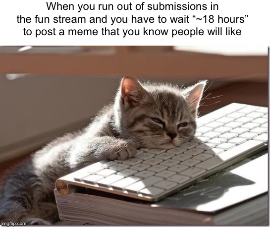 Bored Keyboard Cat | When you run out of submissions in the fun stream and you have to wait “~18 hours” to post a meme that you know people will like | image tagged in bored keyboard cat | made w/ Imgflip meme maker