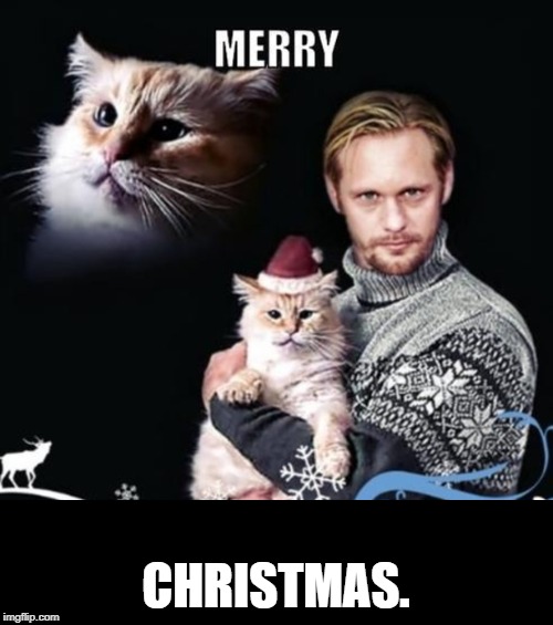 Merry Christmas | CHRISTMAS. | image tagged in cat humor,cat dress up | made w/ Imgflip meme maker