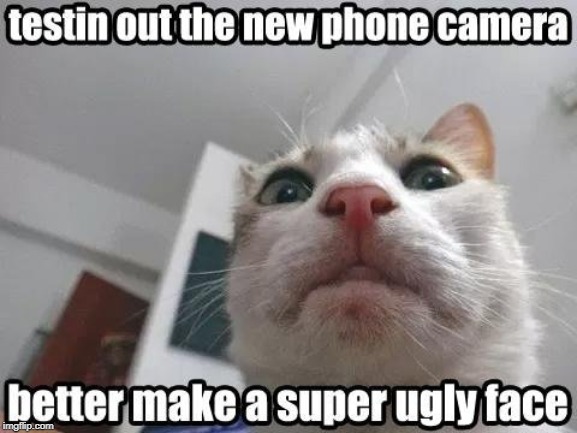 ugly face | image tagged in testing out new camera,cat humor,ugly face | made w/ Imgflip meme maker