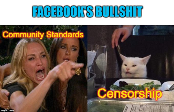 Woman Yelling At Cat | FACEBOOK'S BULLSHIT; Community Standards; Censorship | image tagged in woman yelling at cat,facebook,bullshit,liars club,censorship,free speech | made w/ Imgflip meme maker