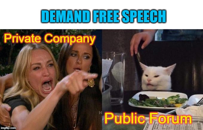 Social Media | DEMAND FREE SPEECH; Private Company; Public Forum | image tagged in woman yelling at cat,public,free speech,what do we want,what if i told you,social media | made w/ Imgflip meme maker