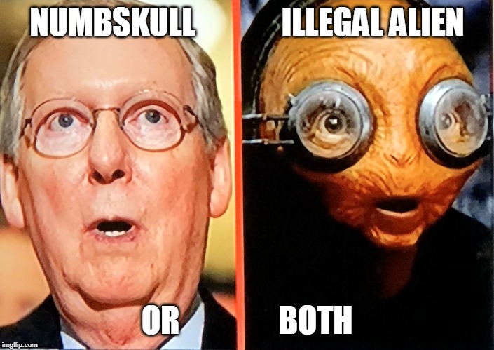 The Puppet-String Vote Suppressing Illegal Alien | NUMBSKULL              ILLEGAL ALIEN; OR                BOTH | image tagged in idiot or alien,mitch mcconnell,puns,star wars | made w/ Imgflip meme maker