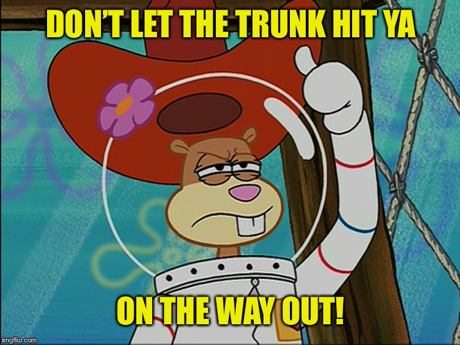 Sandy Cheeks | DON’T LET THE TRUNK HIT YA ON THE WAY OUT! | image tagged in sandy cheeks | made w/ Imgflip meme maker