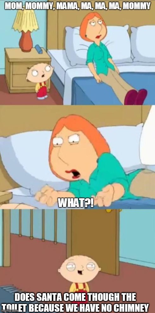 family guy mommy | DOES SANTA COME THOUGH THE TOILET BECAUSE WE HAVE NO CHIMNEY | image tagged in family guy mommy | made w/ Imgflip meme maker