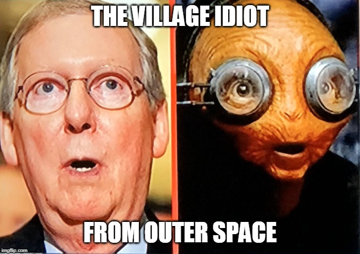 Dumb as Trump | THE VILLAGE IDIOT; FROM OUTER SPACE | image tagged in idiot or alien,puns,star wars,congress,impeach trump | made w/ Imgflip meme maker