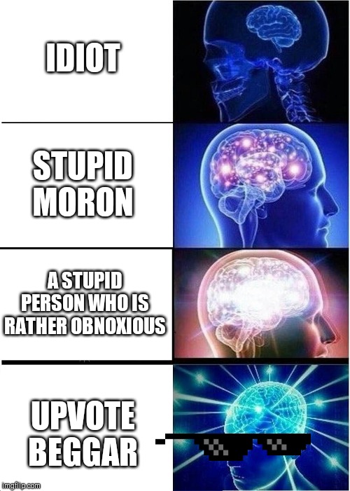 Expanding Brain | IDIOT; STUPID MORON; A STUPID PERSON WHO IS RATHER OBNOXIOUS; UPVOTE BEGGAR | image tagged in memes,expanding brain | made w/ Imgflip meme maker