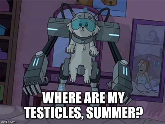 WHERE ARE MY TESTICLES, SUMMER? | made w/ Imgflip meme maker
