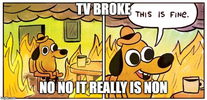 This Is Fine Meme | TV BROKE; NO NO IT REALLY IS NON | image tagged in this is fine dog | made w/ Imgflip meme maker