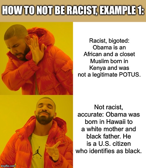 How to not be a racist, Example 1. | HOW TO NOT BE RACIST, EXAMPLE 1:; Racist, bigoted: Obama is an African and a closet Muslim born in Kenya and was not a legitimate POTUS. Not racist, accurate: Obama was born in Hawaii to a white mother and black father. He is a U.S. citizen who identifies as black. | image tagged in memes,drake hotline bling,racism,no racism,racist,barack obama | made w/ Imgflip meme maker