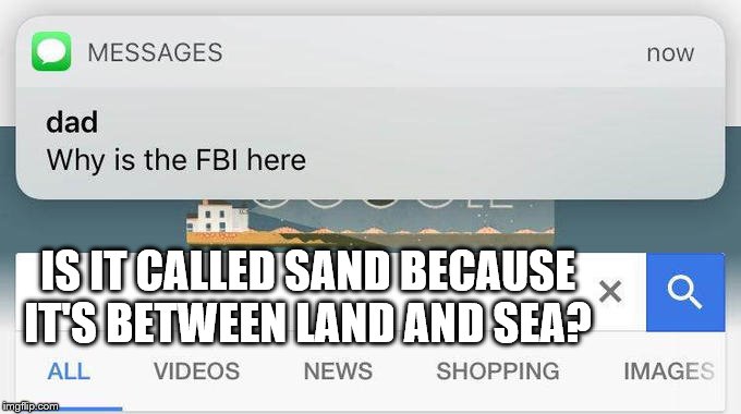 why is the FBI here? | IS IT CALLED SAND BECAUSE IT'S BETWEEN LAND AND SEA? | image tagged in why is the fbi here | made w/ Imgflip meme maker