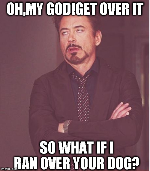 Face You Make Robert Downey Jr | OH,MY GOD!GET OVER IT; SO WHAT IF I RAN OVER YOUR DOG? | image tagged in memes,face you make robert downey jr | made w/ Imgflip meme maker