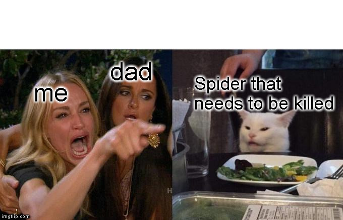 Woman Yelling At Cat Meme | dad; Spider that needs to be killed; me | image tagged in memes,woman yelling at cat | made w/ Imgflip meme maker