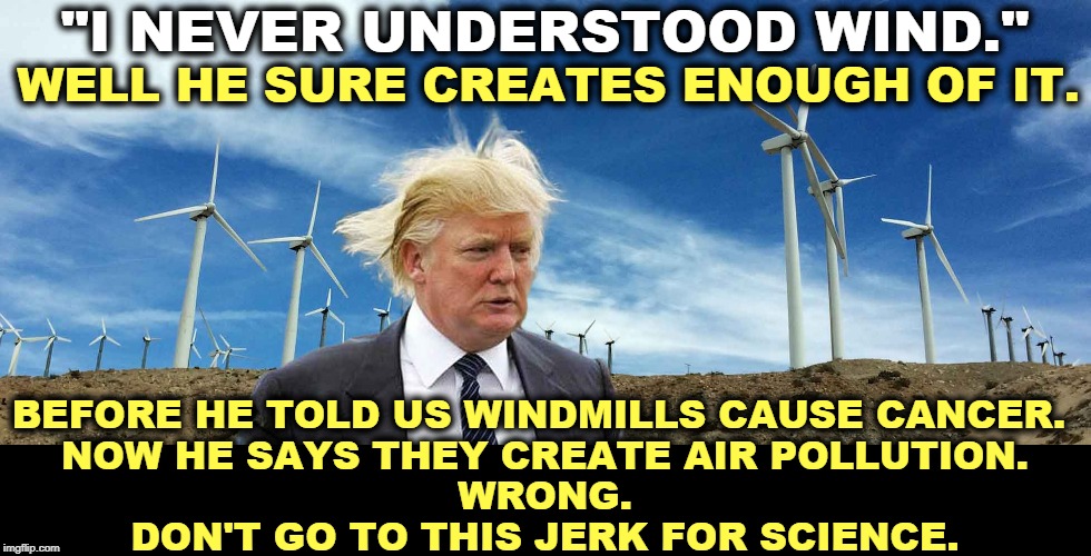 Who knew wind power was so complicated? | "I NEVER UNDERSTOOD WIND."; WELL HE SURE CREATES ENOUGH OF IT. BEFORE HE TOLD US WINDMILLS CAUSE CANCER. 
NOW HE SAYS THEY CREATE AIR POLLUTION.
WRONG.
DON'T GO TO THIS JERK FOR SCIENCE. | image tagged in trump i don't get wind how hard is it,idiot,moron,fool,jerk,bozo | made w/ Imgflip meme maker