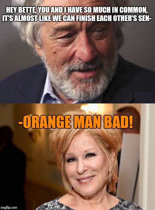 Actors aren't real people... They play make-believe for a living... Nothing they say should be misconstrued as reality. | HEY BETTE, YOU AND I HAVE SO MUCH IN COMMON, IT'S ALMOST LIKE WE CAN FINISH EACH OTHER'S SEN-; -ORANGE MAN BAD! | image tagged in scumbag hollywood,hollywood liberals,liars | made w/ Imgflip meme maker