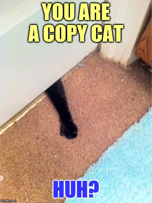 YOU ARE A COPY CAT HUH? | made w/ Imgflip meme maker