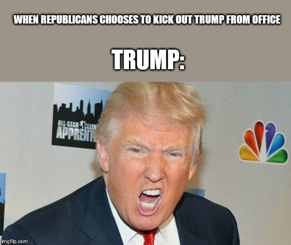WHEN REPUBLICANS CHOOSES TO KICK OUT TRUMP FROM OFFICE TRUMP: | image tagged in trump mad | made w/ Imgflip meme maker