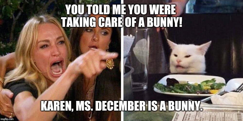 Smudge the cat | YOU TOLD ME YOU WERE 
TAKING CARE OF A BUNNY! KAREN, MS. DECEMBER IS A BUNNY. | image tagged in smudge the cat | made w/ Imgflip meme maker