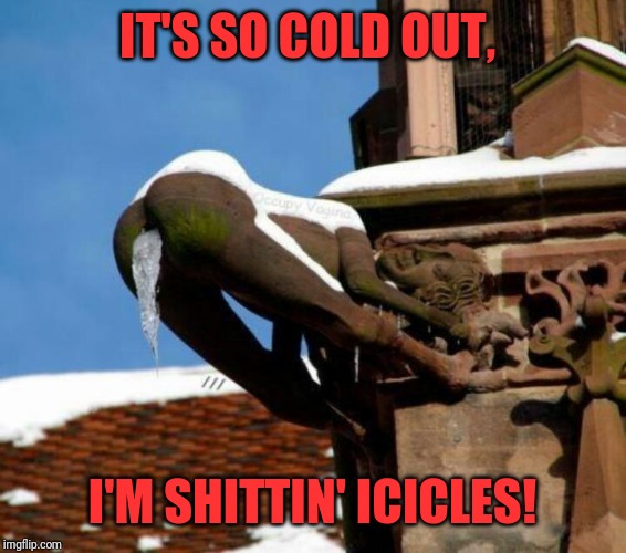 Gargoyle | IT'S SO COLD OUT, I'M SHITTIN' ICICLES! | image tagged in memes,funny,dank,gargoyle,icicle | made w/ Imgflip meme maker