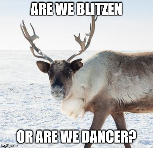 ARE WE BLITZEN; OR ARE WE DANCER? | image tagged in xmas,reindeer,christmas | made w/ Imgflip meme maker