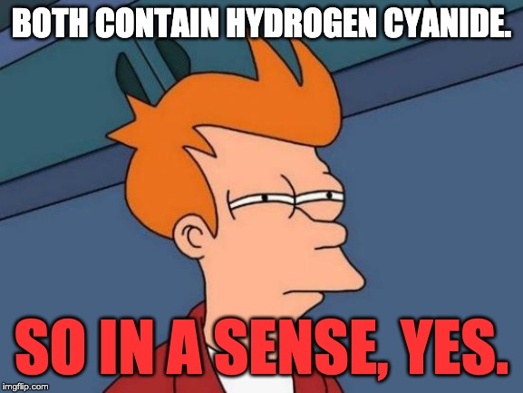 Futurama Fry Meme | BOTH CONTAIN HYDROGEN CYANIDE. SO IN A SENSE, YES. | image tagged in memes,futurama fry | made w/ Imgflip meme maker