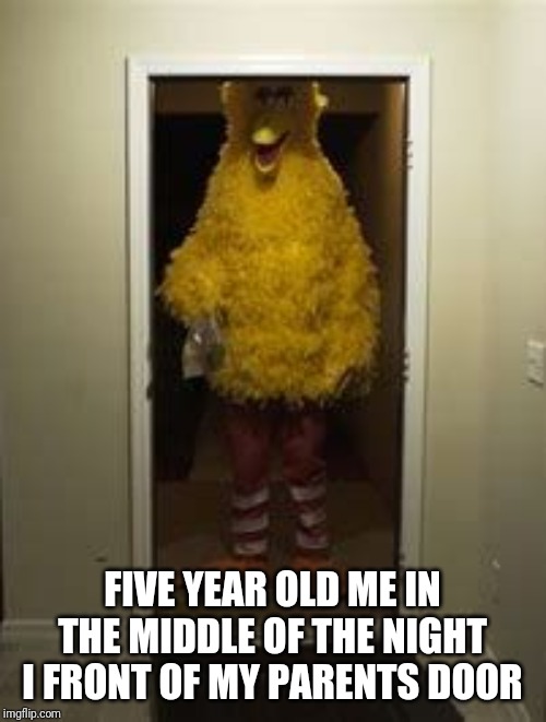 Big Bird Door | FIVE YEAR OLD ME IN THE MIDDLE OF THE NIGHT I FRONT OF MY PARENTS DOOR | image tagged in big bird door | made w/ Imgflip meme maker