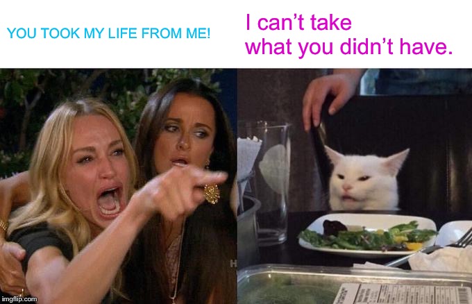 Woman Yelling At Cat Meme | YOU TOOK MY LIFE FROM ME! I can’t take what you didn’t have. | image tagged in memes,woman yelling at cat | made w/ Imgflip meme maker
