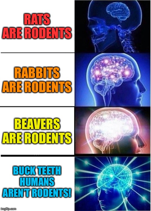 Rodents | RATS ARE RODENTS; RABBITS ARE RODENTS; BEAVERS ARE RODENTS; BUCK TEETH HUMANS AREN’T RODENTS! | image tagged in memes,expanding brain,rodents | made w/ Imgflip meme maker