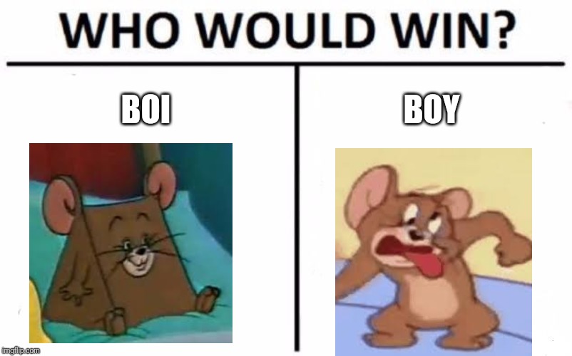 Who Would Win? | BOI; BOY | image tagged in memes,who would win | made w/ Imgflip meme maker