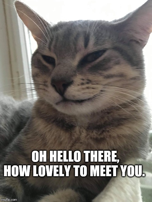 Merry Christmas ya filthy animals! | OH HELLO THERE, HOW LOVELY TO MEET YOU. | image tagged in the cat who got the cream | made w/ Imgflip meme maker