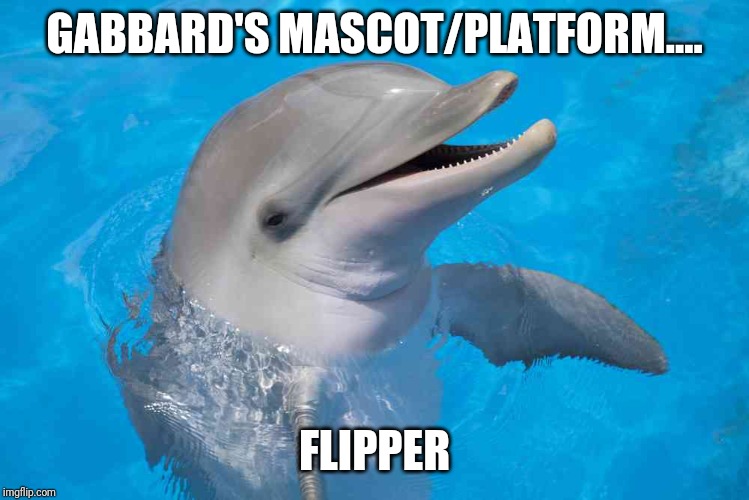 Fuck the flippers! | GABBARD'S MASCOT/PLATFORM.... FLIPPER | image tagged in fuck the flippers | made w/ Imgflip meme maker