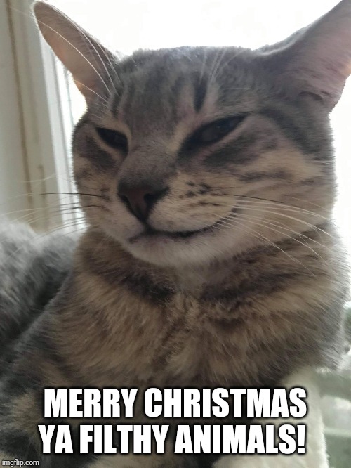 The cat who got the cream | MERRY CHRISTMAS YA FILTHY ANIMALS! | image tagged in the cat who got the cream | made w/ Imgflip meme maker