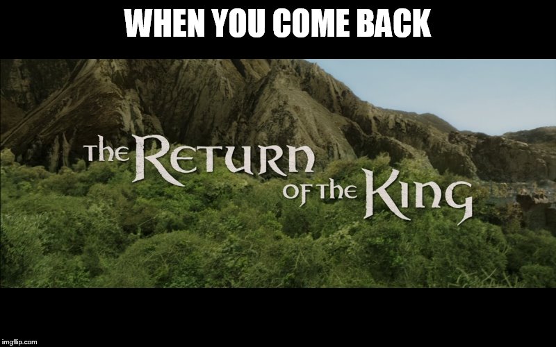 Return Of The King | WHEN YOU COME BACK | image tagged in return of the king | made w/ Imgflip meme maker