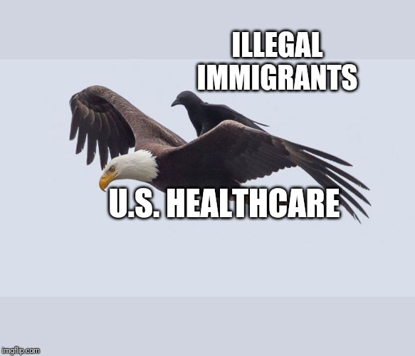 ILLEGAL IMMIGRANTS; U.S. HEALTHCARE | image tagged in welfare,maga,libtards | made w/ Imgflip meme maker