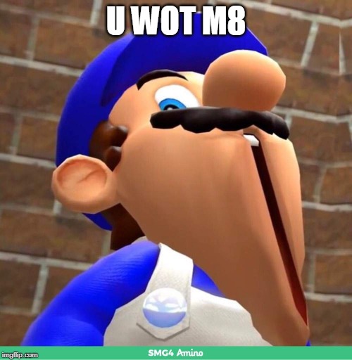 smg4's face | U WOT M8 | image tagged in smg4's face | made w/ Imgflip meme maker