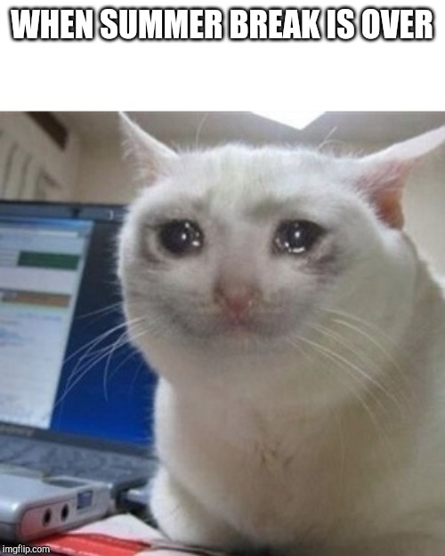 Crying cat | WHEN SUMMER BREAK IS OVER | image tagged in crying cat | made w/ Imgflip meme maker