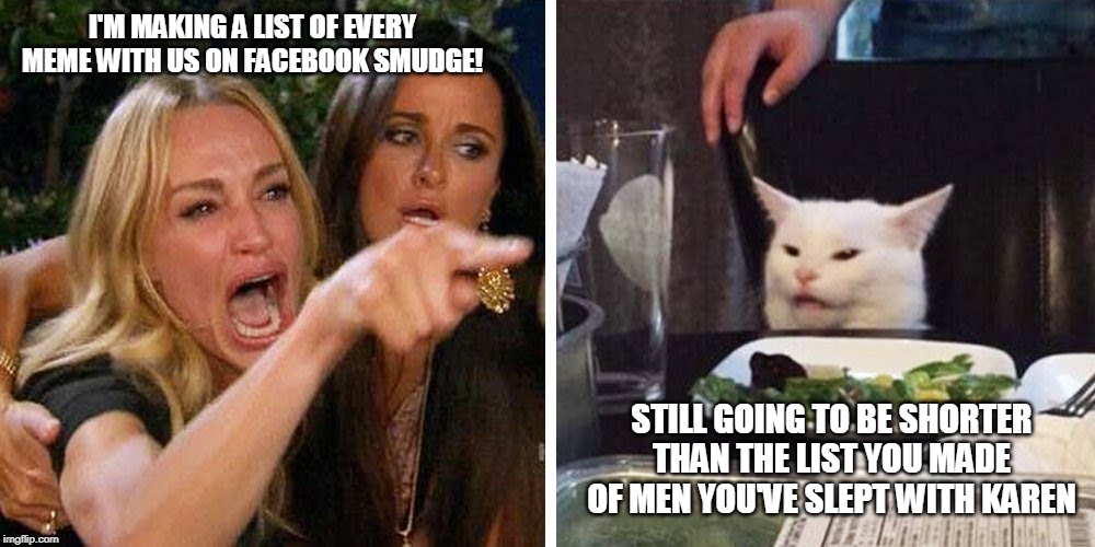 Smudge the cat | I'M MAKING A LIST OF EVERY MEME WITH US ON FACEBOOK SMUDGE! STILL GOING TO BE SHORTER THAN THE LIST YOU MADE OF MEN YOU'VE SLEPT WITH KAREN | image tagged in smudge the cat | made w/ Imgflip meme maker