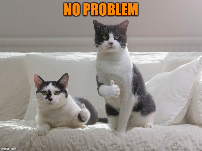 NO PROBLEM | made w/ Imgflip meme maker