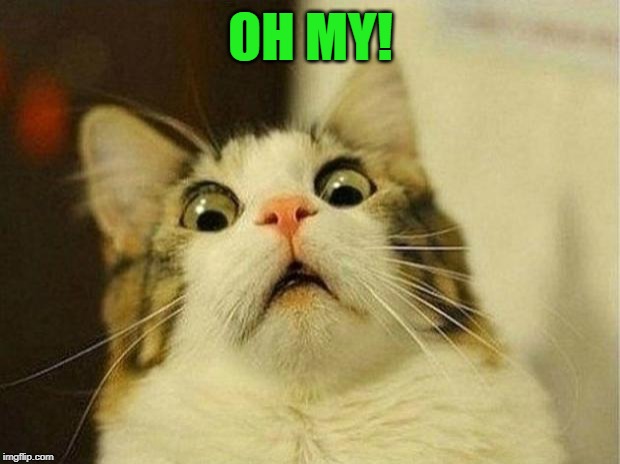 Scared Cat Meme | OH MY! | image tagged in memes,scared cat | made w/ Imgflip meme maker