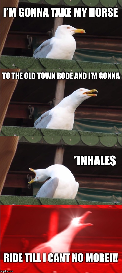 Inhaling Seagull | I’M GONNA TAKE MY HORSE; TO THE OLD TOWN RODE AND I’M GONNA; *INHALES; RIDE TILL I CANT NO MORE!!! | image tagged in memes,inhaling seagull | made w/ Imgflip meme maker
