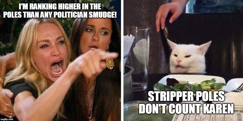 Smudge the cat | I'M RANKING HIGHER IN THE POLES THAN ANY POLITICIAN SMUDGE! STRIPPER POLES DON'T COUNT KAREN | image tagged in smudge the cat | made w/ Imgflip meme maker