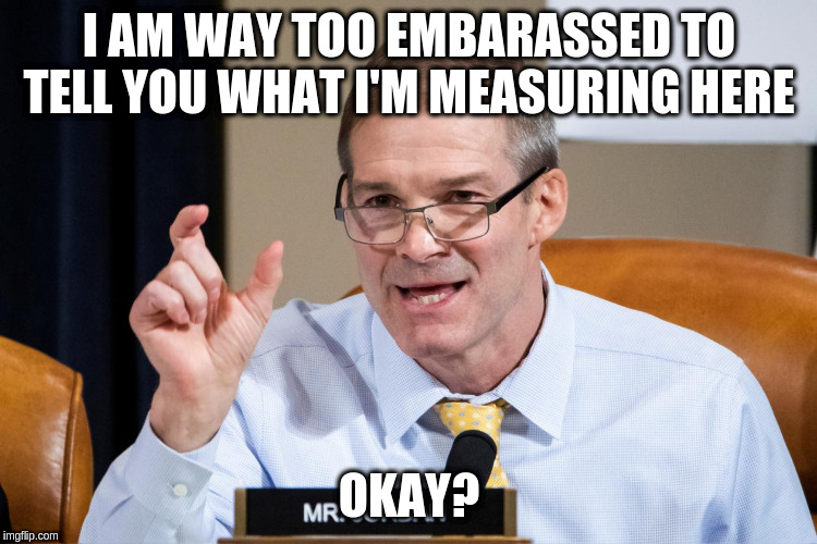 Jim Jordan's Full Measure | I AM WAY TOO EMBARASSED TO TELL YOU WHAT I'M MEASURING HERE; OKAY? | image tagged in congress | made w/ Imgflip meme maker