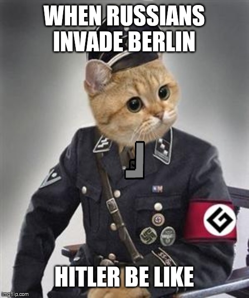 Grammar Nazi Cat | WHEN RUSSIANS INVADE BERLIN; HITLER BE LIKE | image tagged in grammar nazi cat | made w/ Imgflip meme maker
